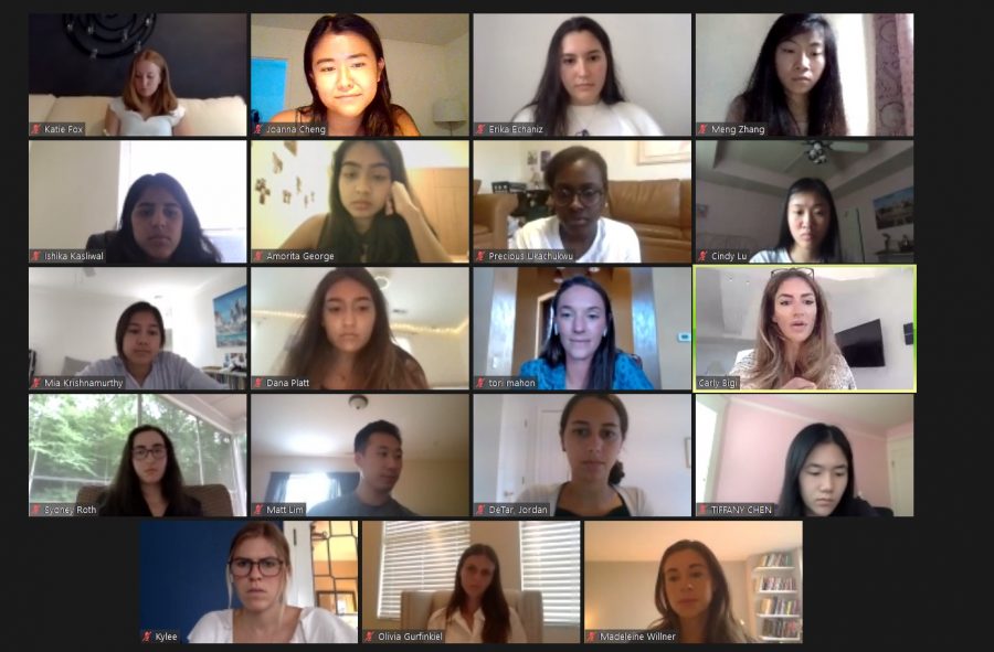 An Aspire to Her Q&A Zoom with Carly Bigi, Vanderbilt alumna and founder/CEO of Laws of Motion. Screenshot by Jo Cheng. 