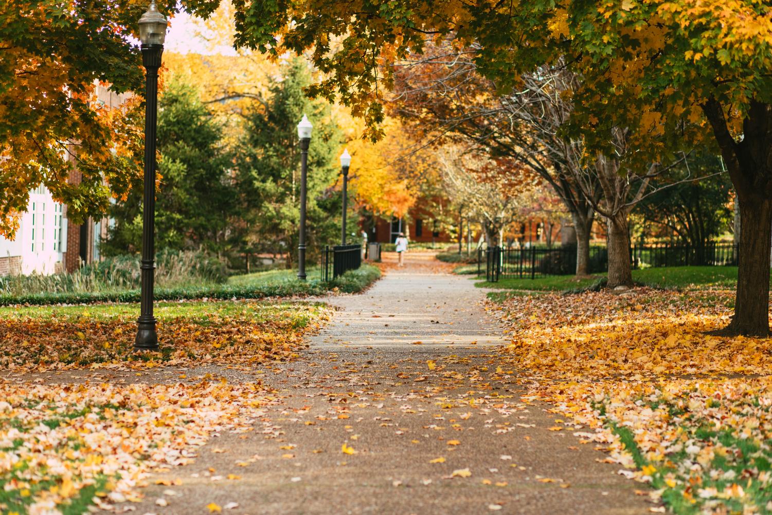 Path on main campus