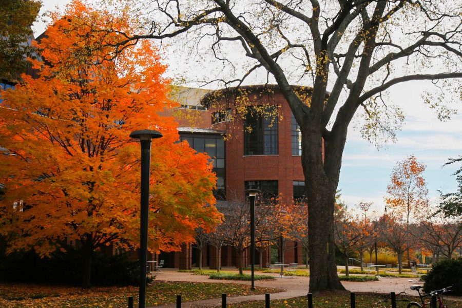 Fall colors on display at E. Bronson Ingram Studio Arts Center on November 16, 2021. (Hustler Multimedia/Hallie Williams)