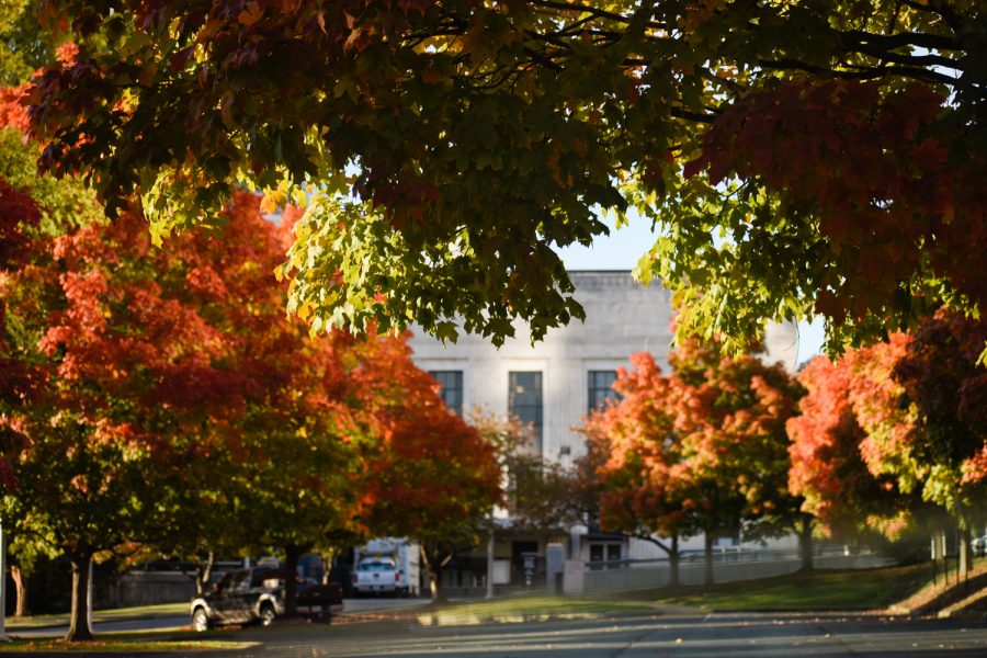 Bright leaves mark the fall transition at the Frist Art Museum, as captured on Nov. 2, 2021. (Hustler Multimedia/Claire Gatlin)