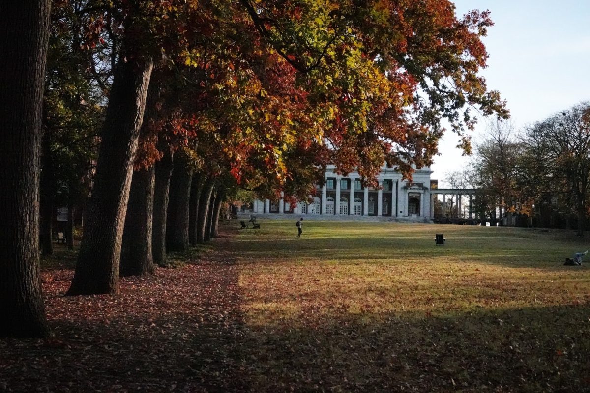 Fall leaves on Wyatt Lawn, as photographed on Nov. 10, 2023. (Payton Ohler/ Hustler Multimedia)