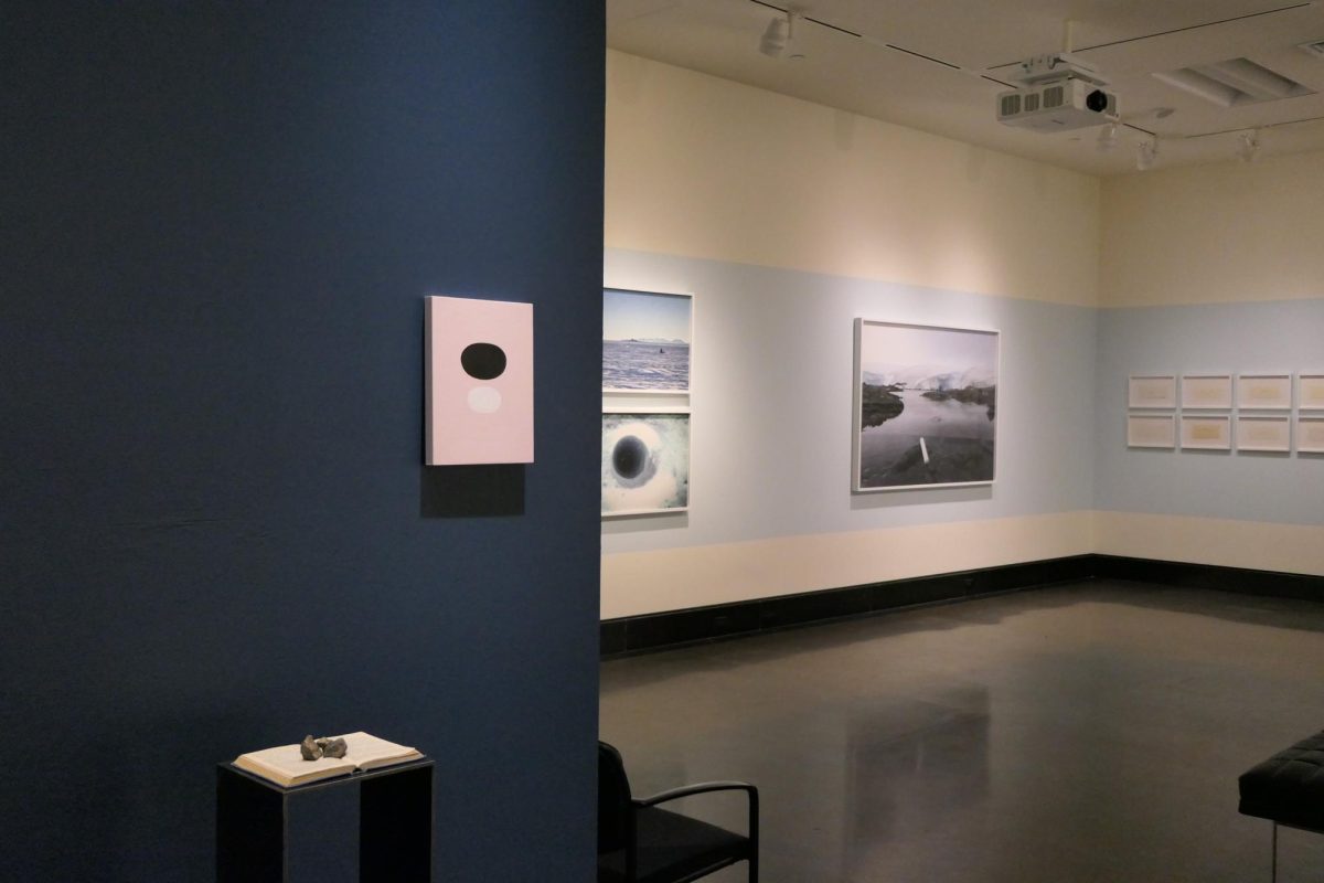 A view of the Vanderbilt University Museum of Art’s exhibition "...no footprints, even.," as photographed on Feb. 5, 2025. All artworks courtesy of the artist and Art Mûr Gallery. (Hustler Multimedia/Alex Brodeur)